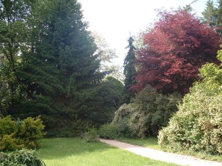 Vrt spominov in tovarištva na Petanjcih 1